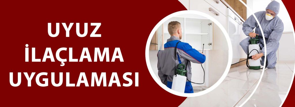 Uyuz için Ev İlaçlama Nasıl Yapılır: Profesyonel Çözüm